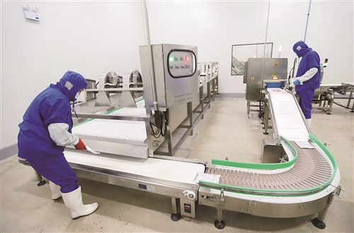 Temperature Monitoring and HACCP Data Logging Systems for Food Processing: Sensor Placement, Validation Intervals, and Compliance