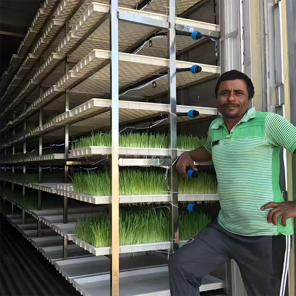 40ft Container Leafy Green Growing System for Hydroponic Urban Farming