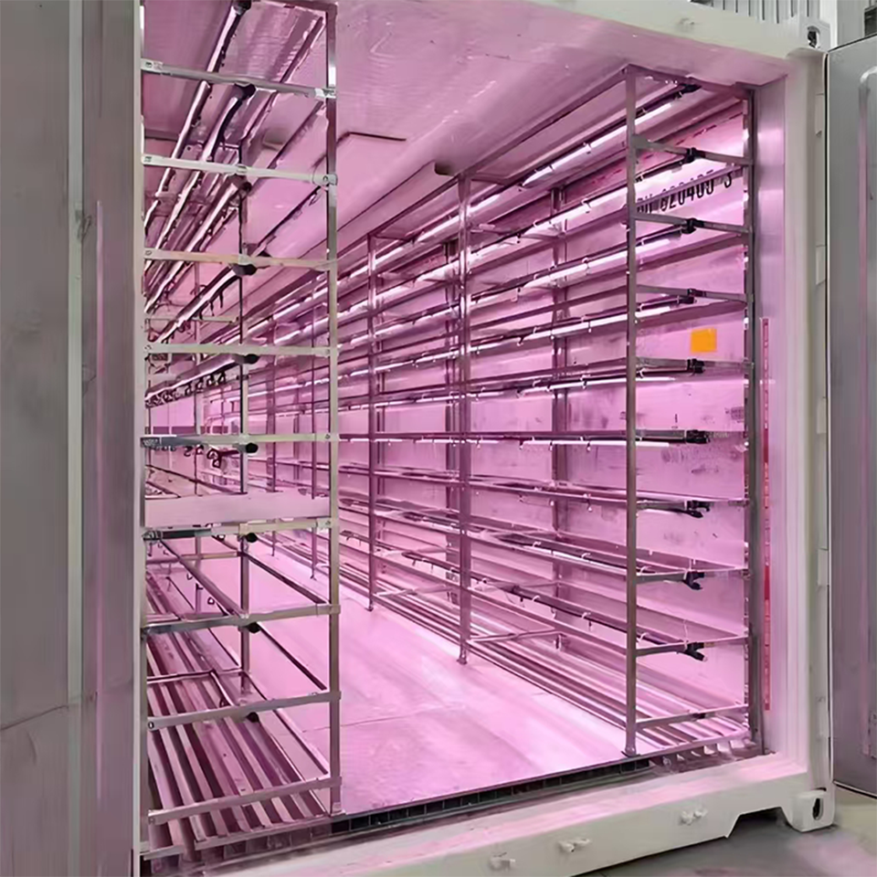 40ft Container Leafy Green Growing System for Hydroponic Urban Farming