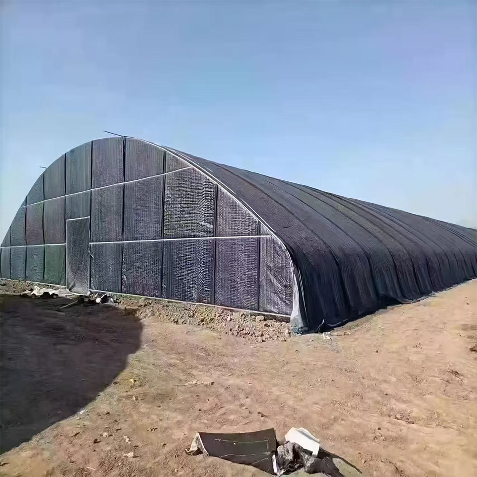 Arched Membrane Vegetable Greenhouse 6-10m Span for Commercial Crop Production