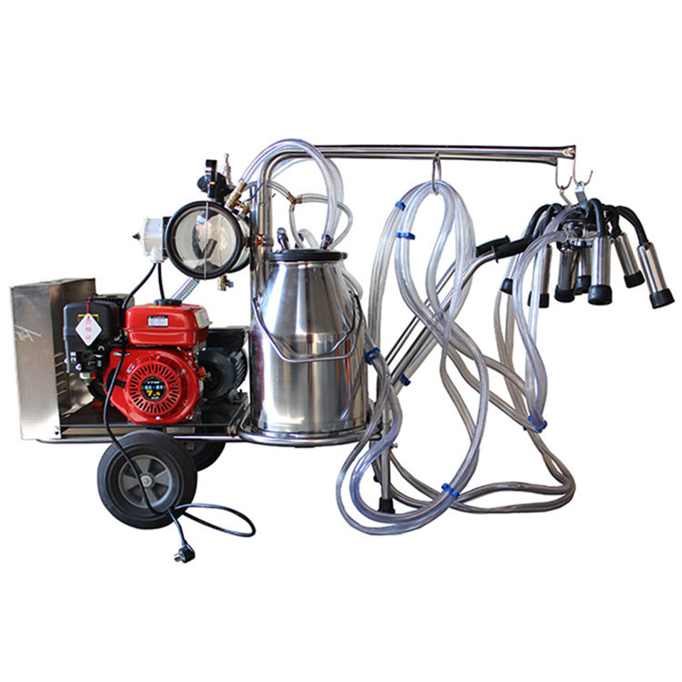 Oil-Electric Dual-Purpose Single Barrel Milking Machine 10-12 Cows Per Hour